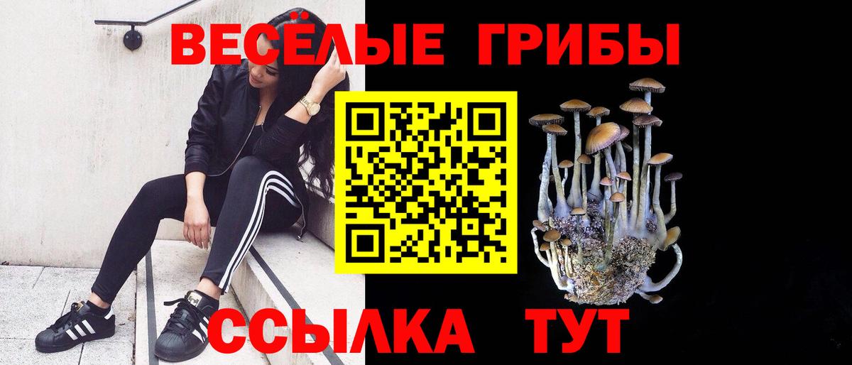 Псилоцибиновые грибы мицелий  Галлюциногенные грибы мухоморы  Вход с VPN  Елабуга 